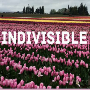 Indivisible Skagit