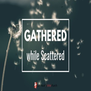 Gather While Scattered Part 2: Joy While Scattered
