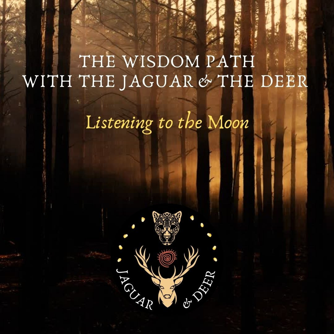 Listening to the Moon - The Wisdom Path (The Jaguar & The Deer) - Episode 7