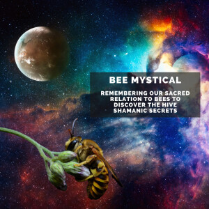 Bee Mystical, remembering our sacred relationship with bees to discover the hive’s shamanic secrets