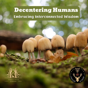 Decentering Humans: Embracing Interconnected Wisdom