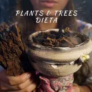 Plants & Tree Dieta, Spiritual Guidance from Nature’s Allies