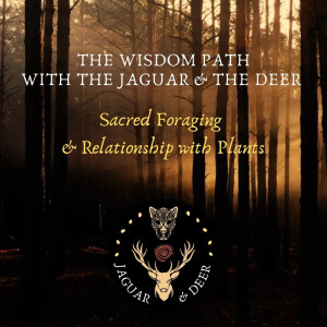 Sacred Foraging & Relationship with Plants - The Wisdom Path (The Jaguar & The Deer) - Episode 12