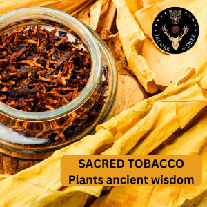 Sacred Tobacco: Ancient Plant Wisdom