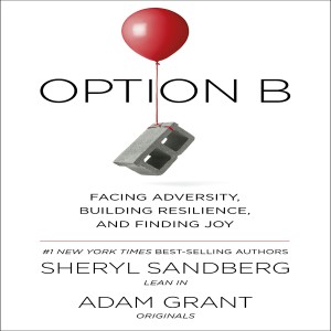 Option B book Summary