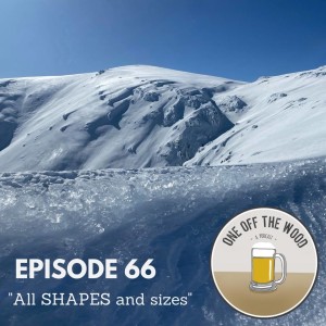 #66 - All SHAPES and Sizes