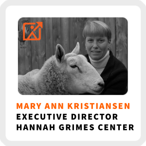 Make An Impact, Not Just Money With Mary Ann Kristiansen (392)