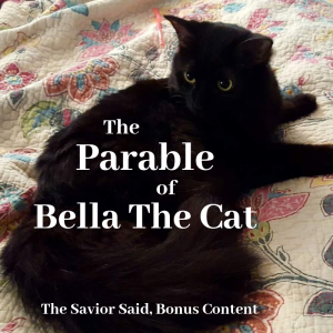 Bonus Content: The Parable of Bella the Cat