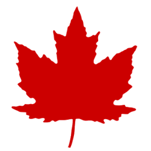 Canadian Garage Door Repair Langley