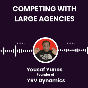 The Battle for TV: The Democratization of Agencies