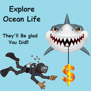 # 257  Studying Sea Life For Fun And Profit!!