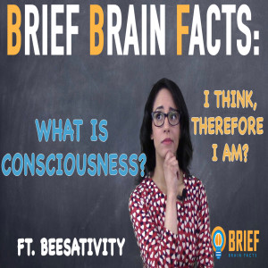 Consciousness in the brain featuring Beesativity on Youtube