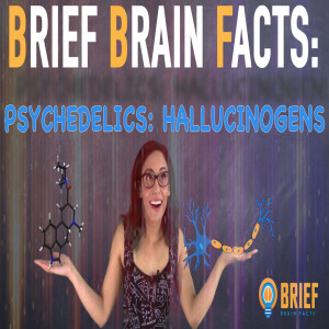 Q&amp;A Psychedelecs and the Brain Ft Scientist Mel