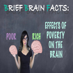The Effects of Poverty on the Brain