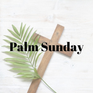 Episode 23 Palm Sunday