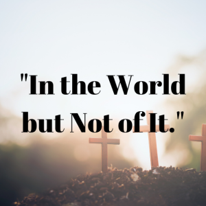 Episode 29 "In the World but Not of It"