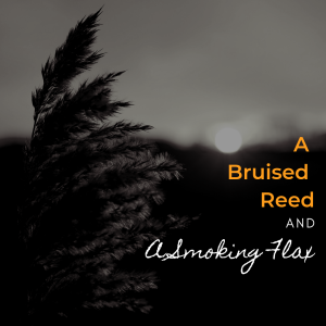 2.24.2019 A Bruised Reed And A Smoking Flax - Mateo Garcia