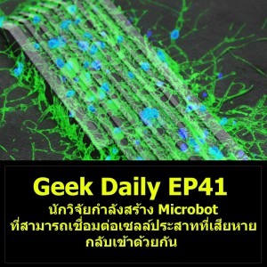 Geek Daily EP41 : นักวิจัยกำลังสร้าง Microbot ที่สามารถเชื่อมต่อเซลล์ประสาทที่เสียหายกลับเข้าด้วยกัน