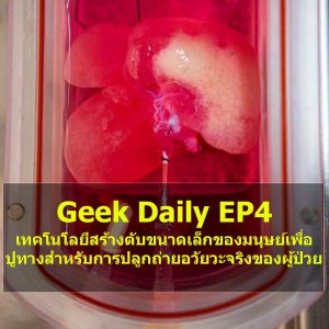 Geek Daily EP4 : เทคโนโลยีสร้างตับขนาดเล็กของมนุษย์เพื่อปูทางสำหรับการปลูกถ่ายอวัยวะจริงของผู้ป่วย