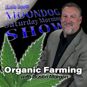 Podcast Sessions: Starting from Seed or Clone
