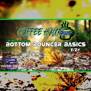 Bottom Bouncing Basics