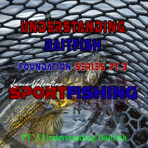 PT. 3 Understanding Baitfish