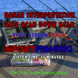 Sonar Interpretation Session 2