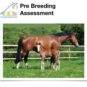 TBS Pr-Breeding Assessment Podcast