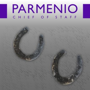 What Does The Chief of Staff Do? Giving The Role Meaning and Purpose