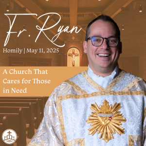 544. Fr. Ryan Homily - A Church That Cares for Those in Need