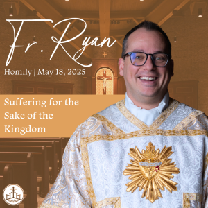 547. Fr. Ryan Homily - Suffering for the Sake of the Kingdom