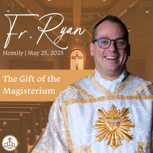 549. Fr. Ryan Homily - The Gift of the Magisterium