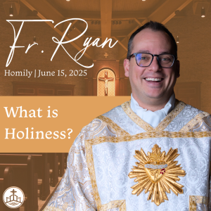 557. Fr. Ryan Homily - What is Holiness?