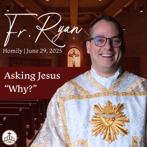 562. Fr. Ryan Homily - Asking Jesus “Why?”