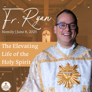 553. Fr. Ryan Homily - The Elevating Life of the Holy Spirit