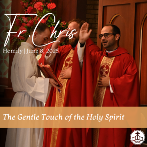 555. Fr. Chris Homily - The Gentle Touch of the Holy Spirit