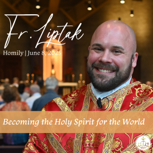 554. Fr. Liptak Homily - Becoming the Holy Spirit for the World