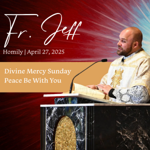 540. Fr. Liptak Homily - Peace Be with You