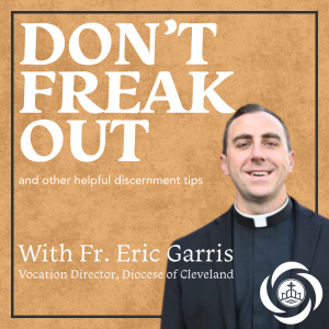 482. Don’t Freak Out and Other Helpful Discernment Tips with Fr. Eric Garris