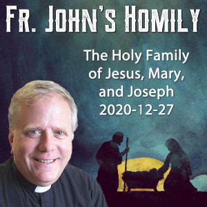 161. Fr. John Homily - The Holy Family 2020