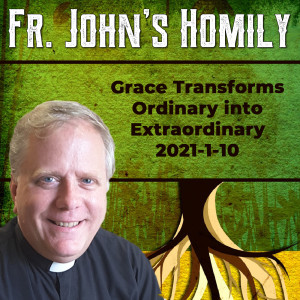 163. Fr. John Homily - Grace Transforms Ordinary into Extraordinary