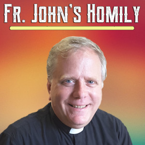 14. Fr. John Homily - Gospel of Life - 2019-2-3