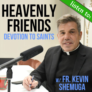 33. Fr. Kevin Shemuga Interview - Heavenly Friends - devotion to the saints