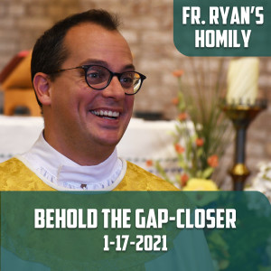 166. Fr. Ryan Homily - Behold the Gap-Closer