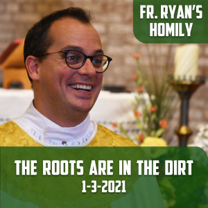 162. Fr. Ryan Homily - The Roots are in the Dirt