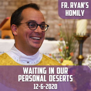 156. Fr. Ryan Homily - Waiting in Our Personal Deserts