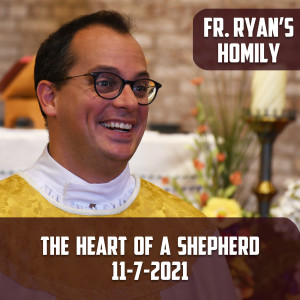 239. Fr. Ryan Homily - The Heart of a Shepherd