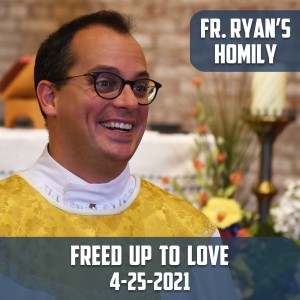 191. Fr. Ryan Homily - Freed Up to Love