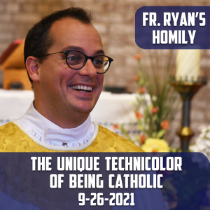 223. Fr. Ryan Homily - The Unique Technicolor of Being Catholic