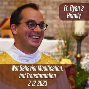 345. Fr. Ryan Homily - Not Behavior Modification, but Transformation